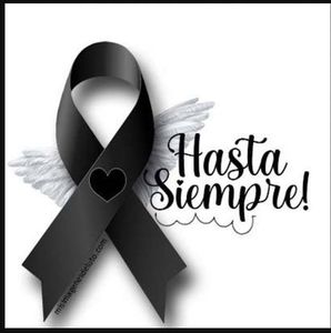 Meet your Posher, Vilma